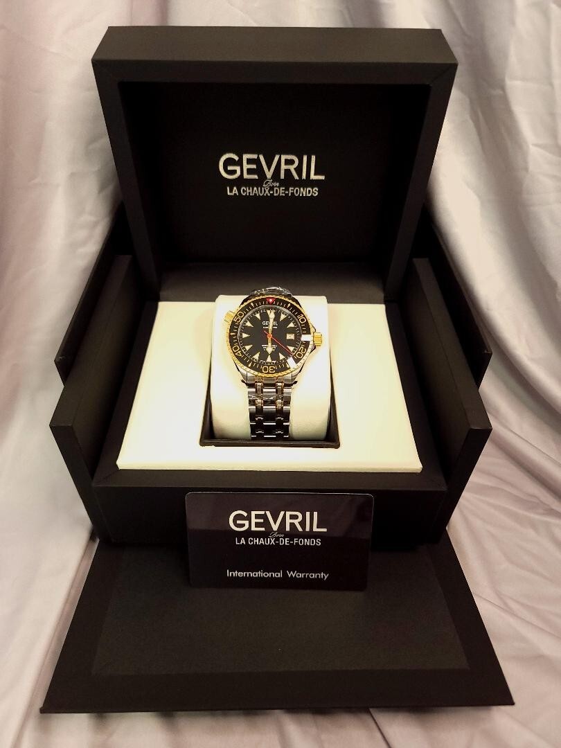Gevril Hudson Yards – Diver