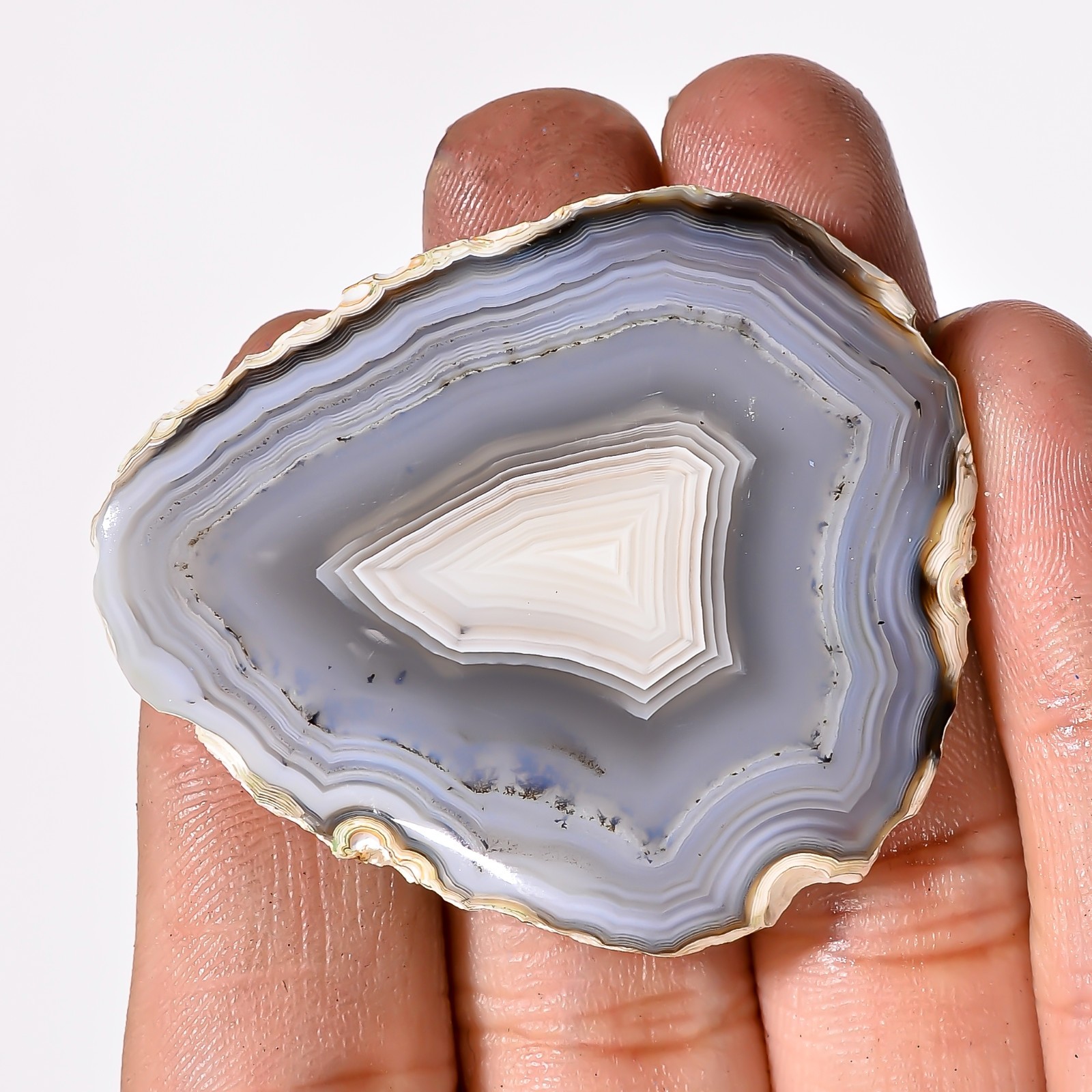 100% Natural Botswana Agate Slice Fancy Loose Gemstone 106.60Cts 40X46X7mm BC-66