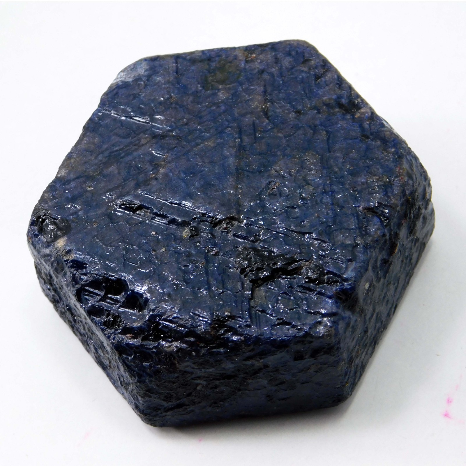937 Ct Natural Unheated Blue Star Sapphire Specimen Rough Certified Gemstone