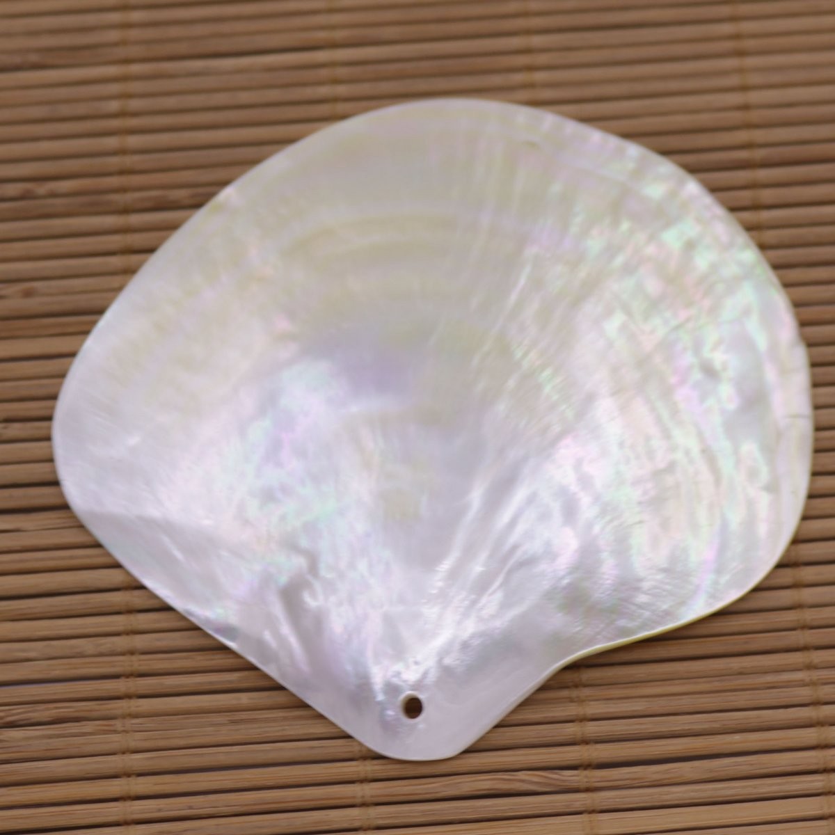 80mm-85mm Natuarl Golden Lip Shell Mother of Pearl Top Hole Charms Pendants
