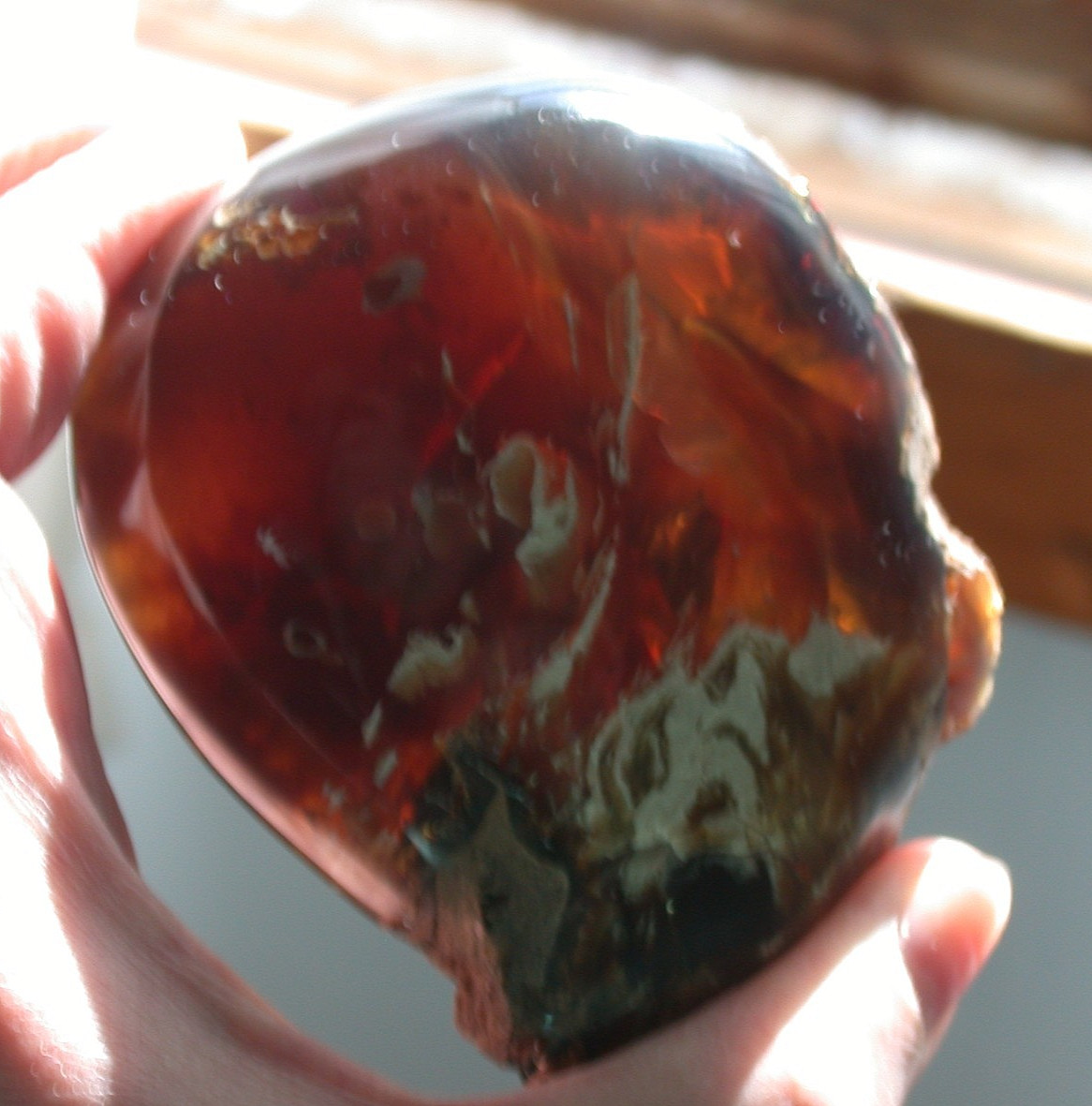 Beautiful BLUE Multicolor AMBER Fossil Gemstone LARGE 132 gram Piece