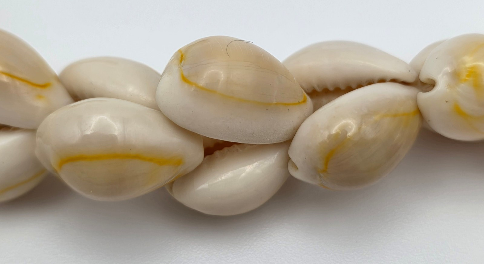 Natural Cowrie Shell Necklace 36 In Continuous Strand Boho Beach 18mm