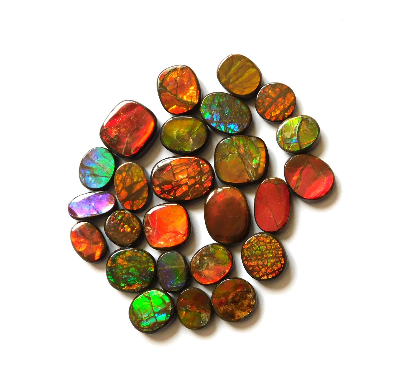 110.40 Cts Natural Ammolite 25 Pcs Lot Loose Cabochon Gemstone CN06