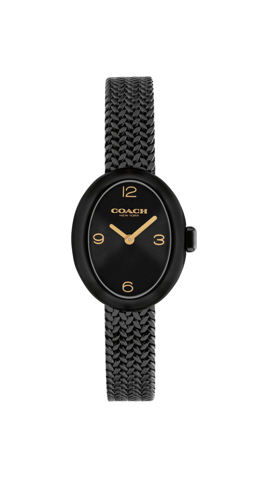 Coach 14504569 Women’s Sammy 2H Quartz Watch 22.5mm Oval Stainless Steel Mesh