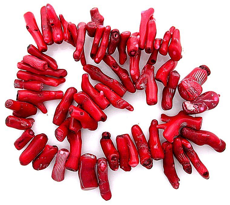 1 to 1 2/5 Inch Red Coral Branch Pieces Bead Gem Stone Gemstone 16″ Strand cb71