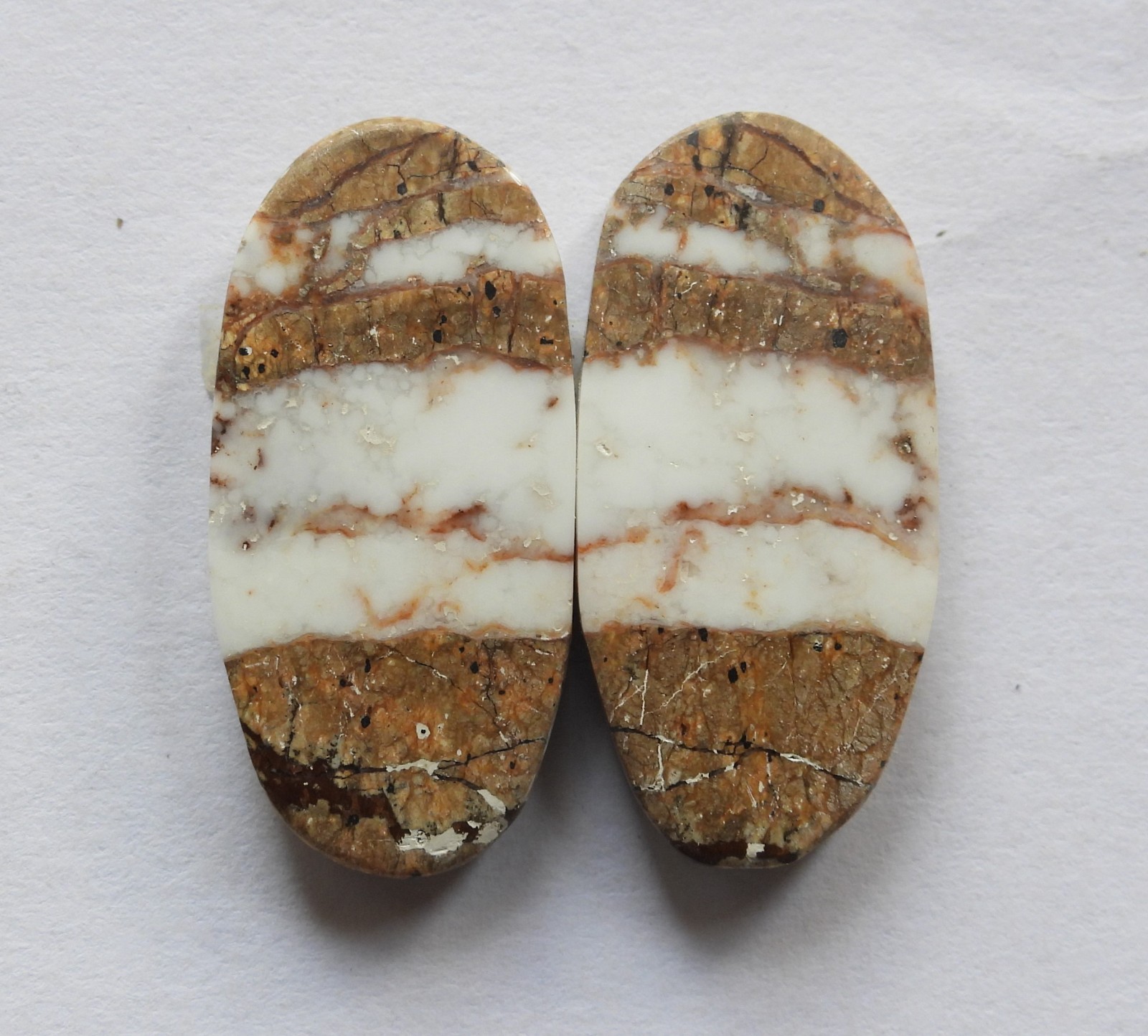 28.00 Ct Natural Wild Horse (27mm X 13mm each) Cabochon Loose Match Pair