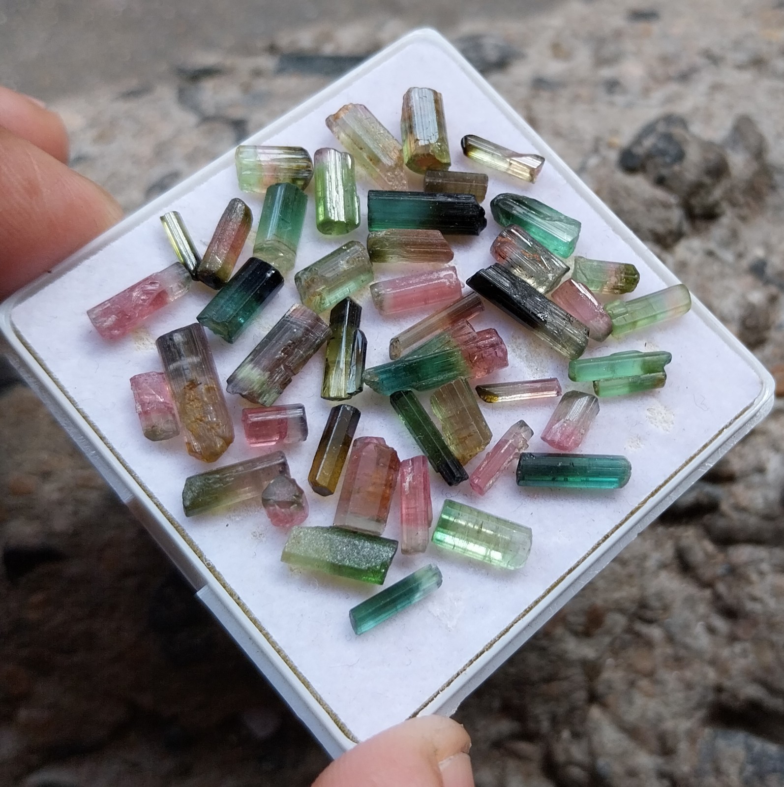 31.8 Ct 5 to 12.5 MM Natural Watermelon Bi Color Tourmaline Stick 43 Piece Lot