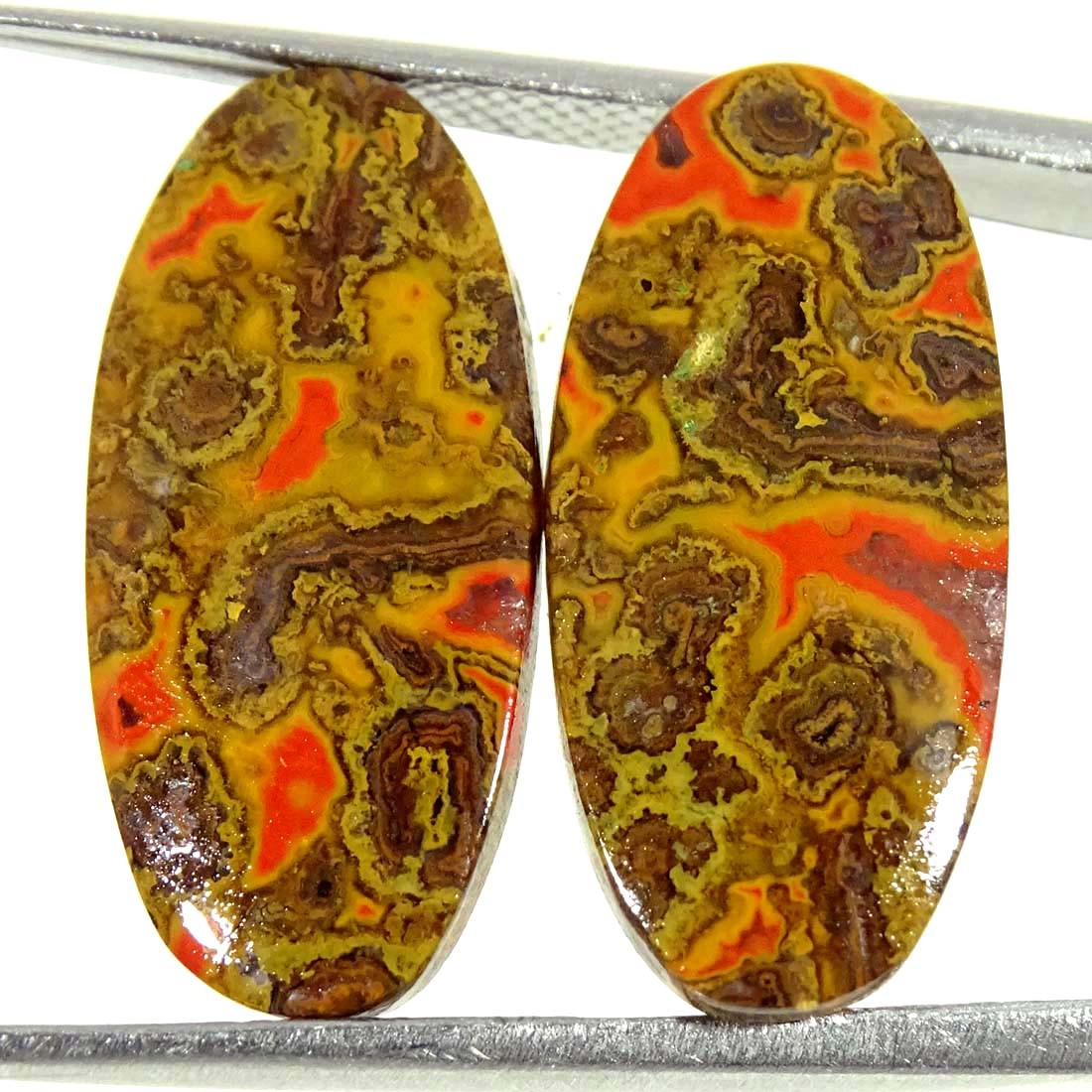 13.90Cts Natural Moroccan Seam Agate Pair Oval Cabochon Loose Gemstone