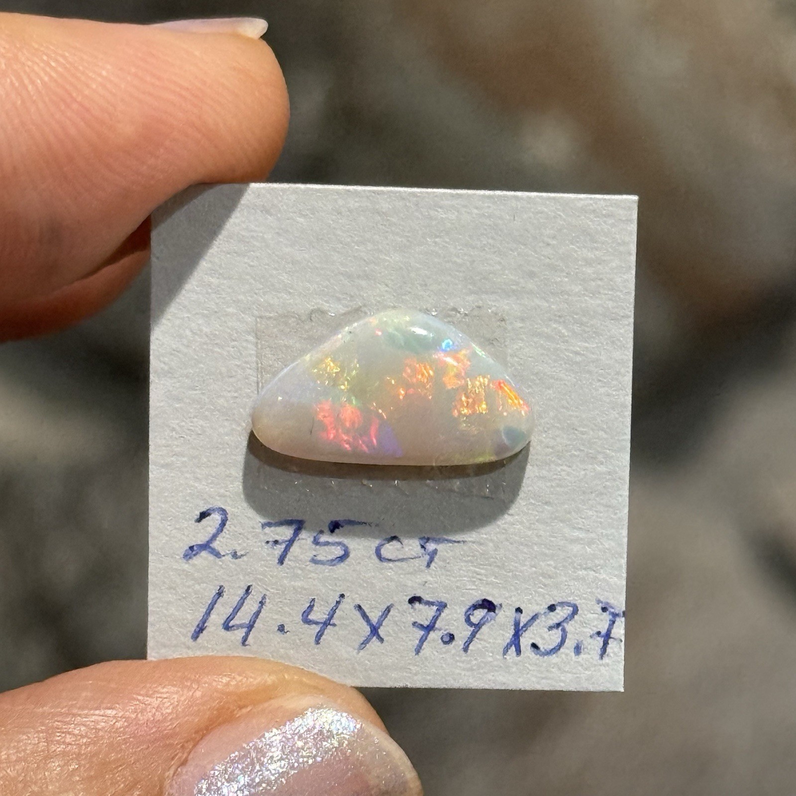 2.75ct 14.4×7.9×3.7mm Lightning Ridge Australian Crystal Opal Cabochon Gem