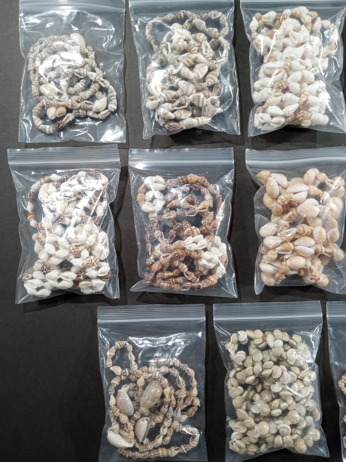 Lot Of 14 Seashell Necklaces 30-34in Long Mixed Earthy Tones Beach Vacation Vibe