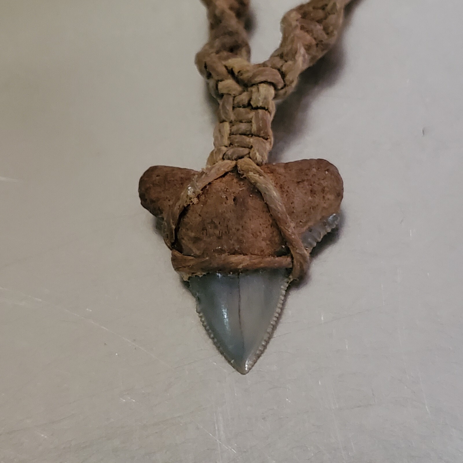 Vintage Shark Tooth Pendant Necklace Spiral Corded Brown Twine 15 inch