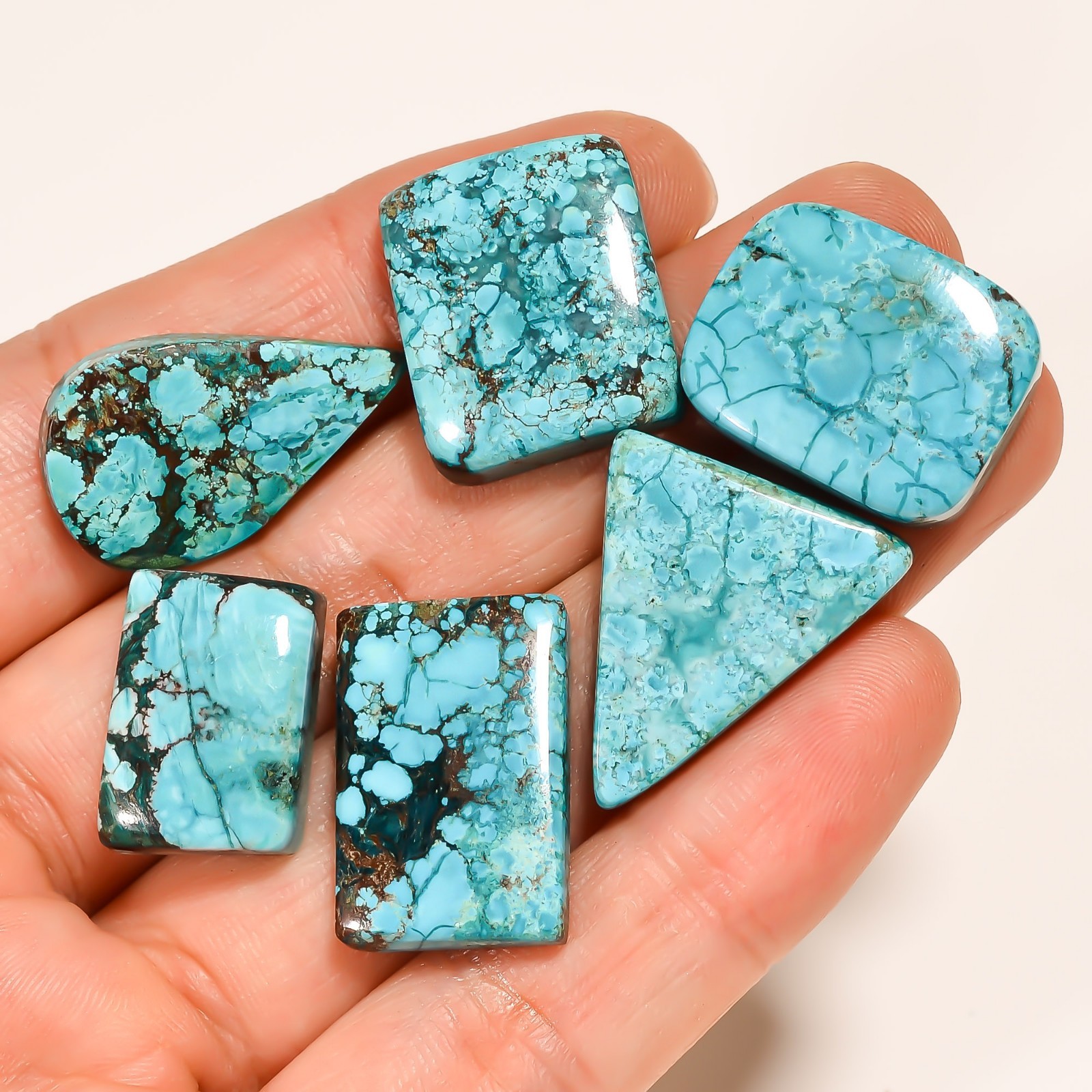 116.70Ct Natural designer Tibet Turquoise mix Cabochon 6 PCs Lot Loose Gemstone