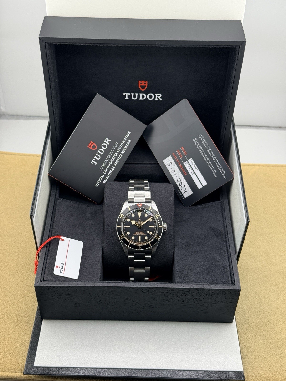 Tudor Black Bay 58 79030N Box + Papers 2024