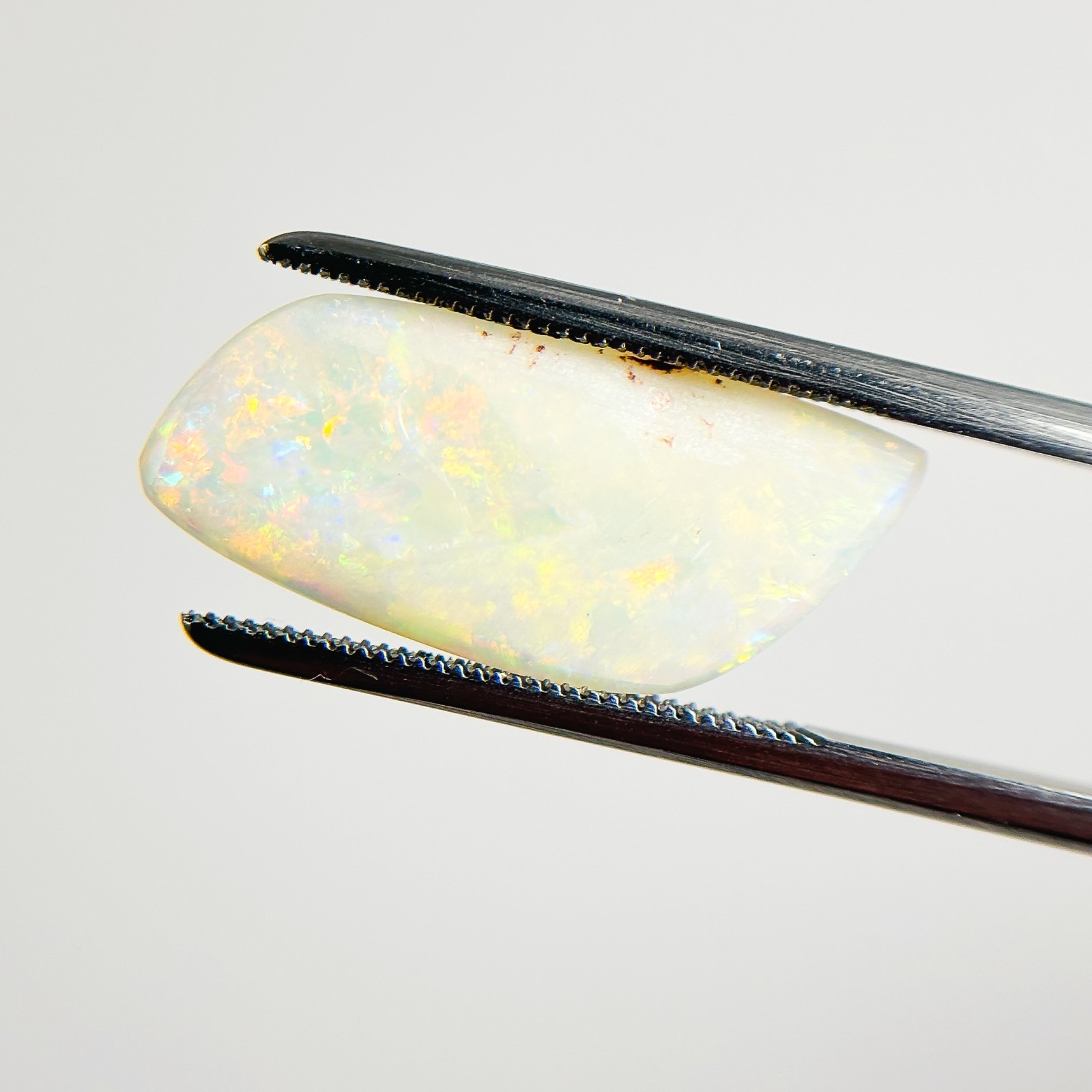 White Opal Red Multicolour 22x10x2.5 Cabochon Freeform 3.30 Carat OPAL53