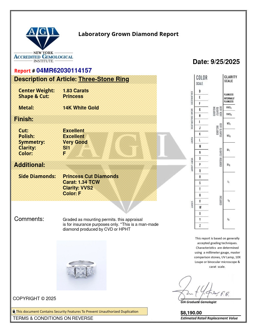 14K White Gold Engagement Ring Trellis 3.17 CT Princess Lab-Grown Diamond F SI1
