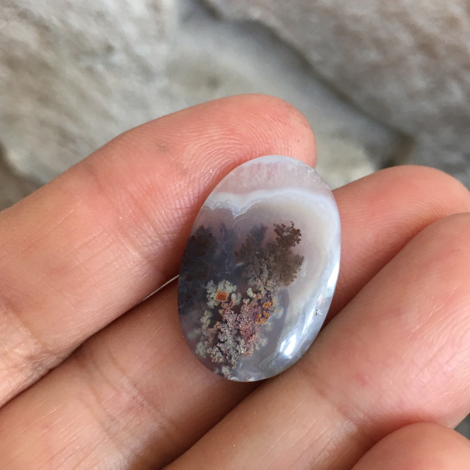 23.3×15.7x5mm Fine Silver Garden Moss Agate Oval Cabochon Loose Picture Stone
