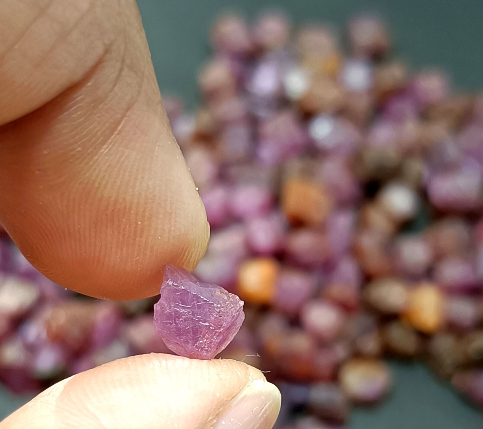 AAA+ Quality 100% Natural African Ruby Sapphire Unheated 50 Ct Loose Rough Lot