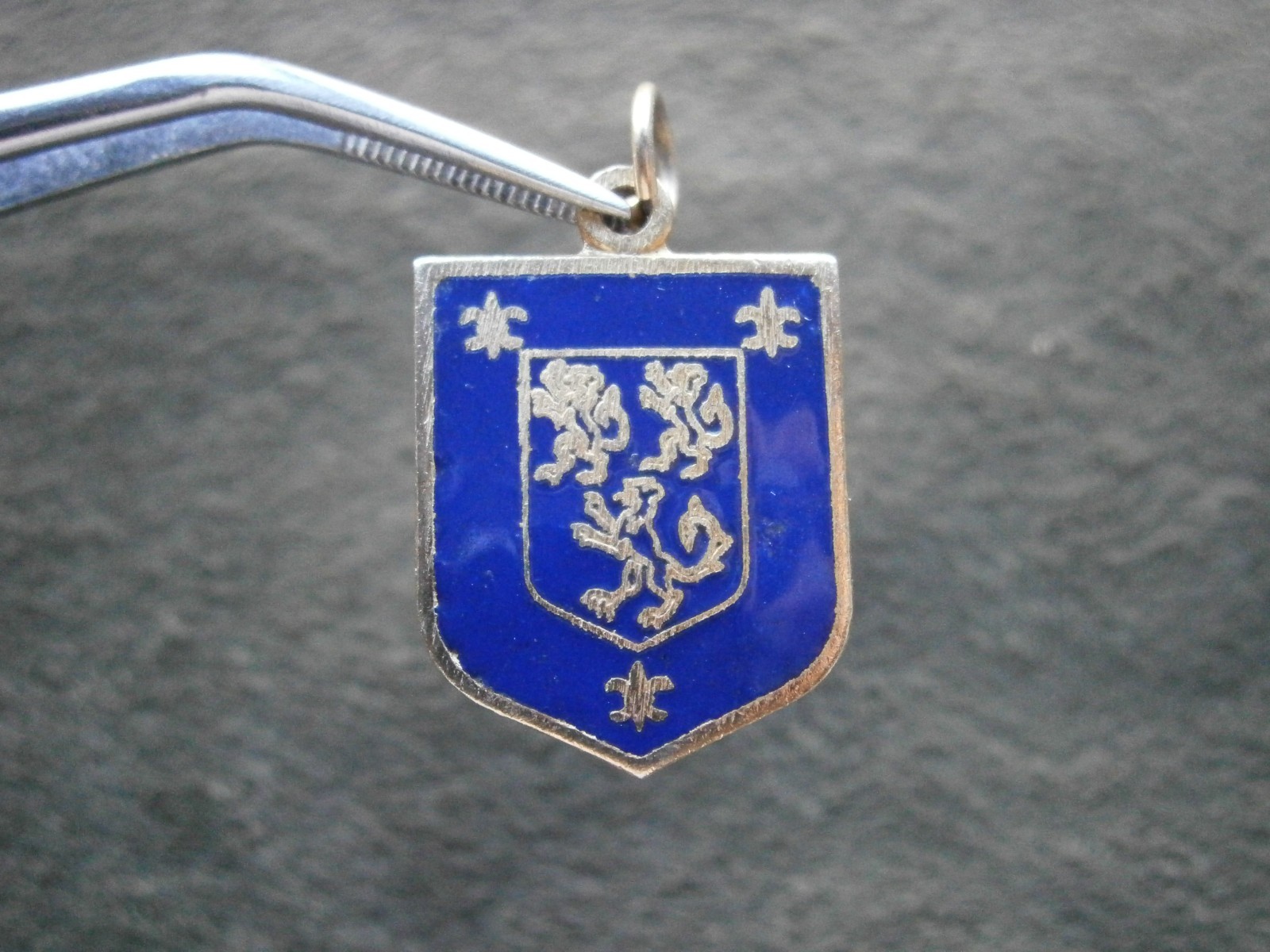 Unknown French Coat of Arms Crest Vtg Goldtone Enamel Travel Charm Pendant 3.0g