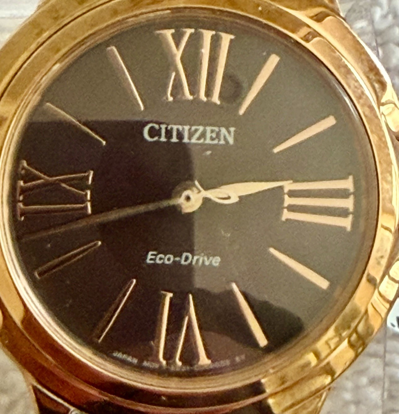 Citizen L Ceci Eco-Drive Brown Dial Ladies Watch EM1163-09X