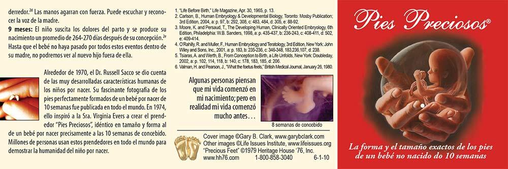 Precious Feet, Gold-Colored, Spanish Fetal Dev Card Jewelry, Lapel Pin