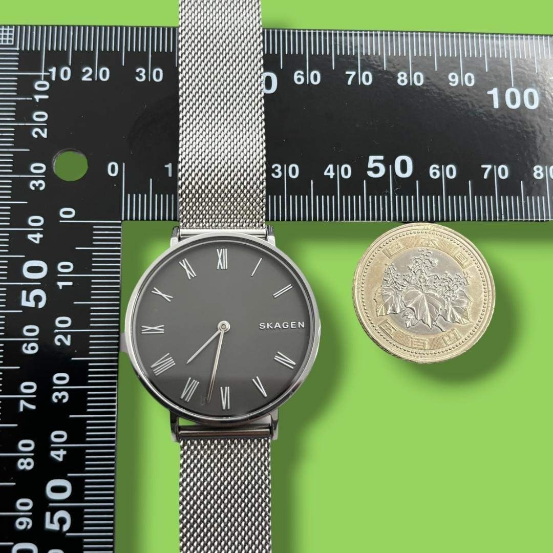 Excellent Condition Working Skagen Ladies’ Wristwatch Roman Waterproof Quartz