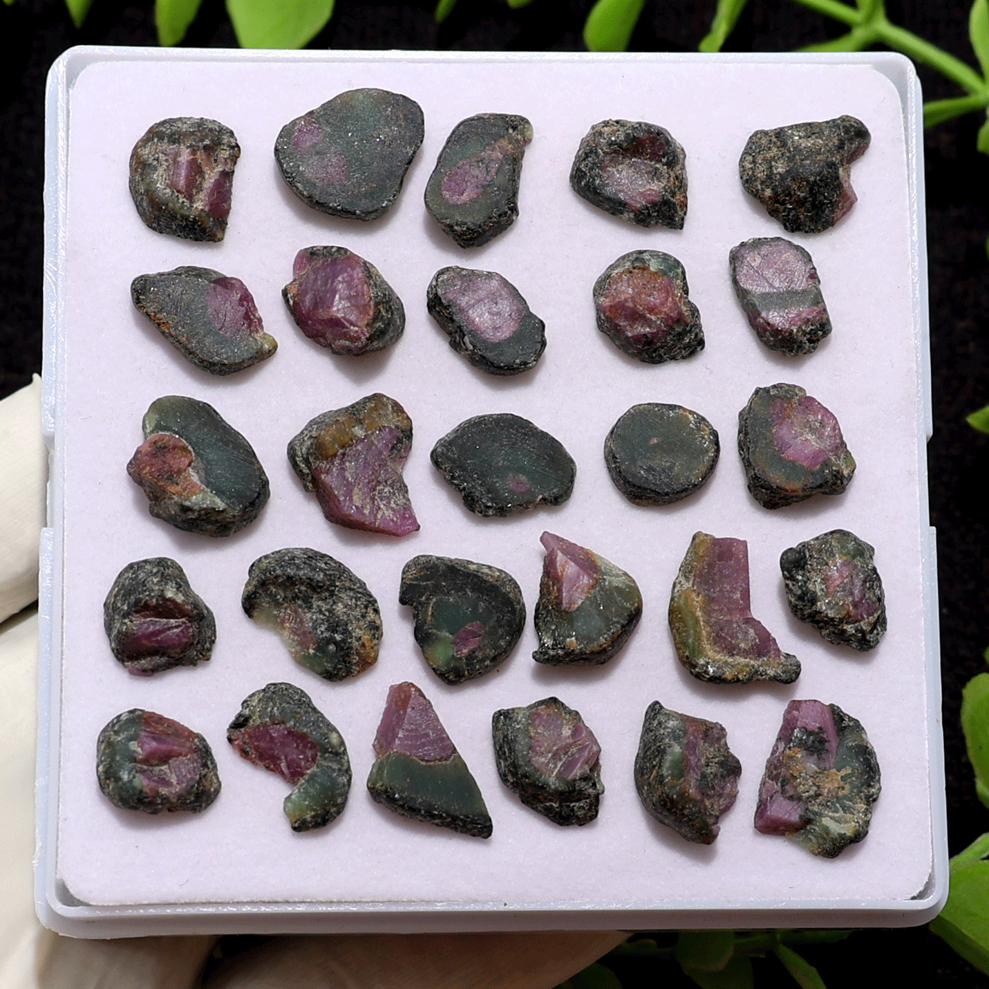 27 PC Natural Watermelon Ruby Untreated 11.5mm-17.4mm Rough Loose Gemstones Lot