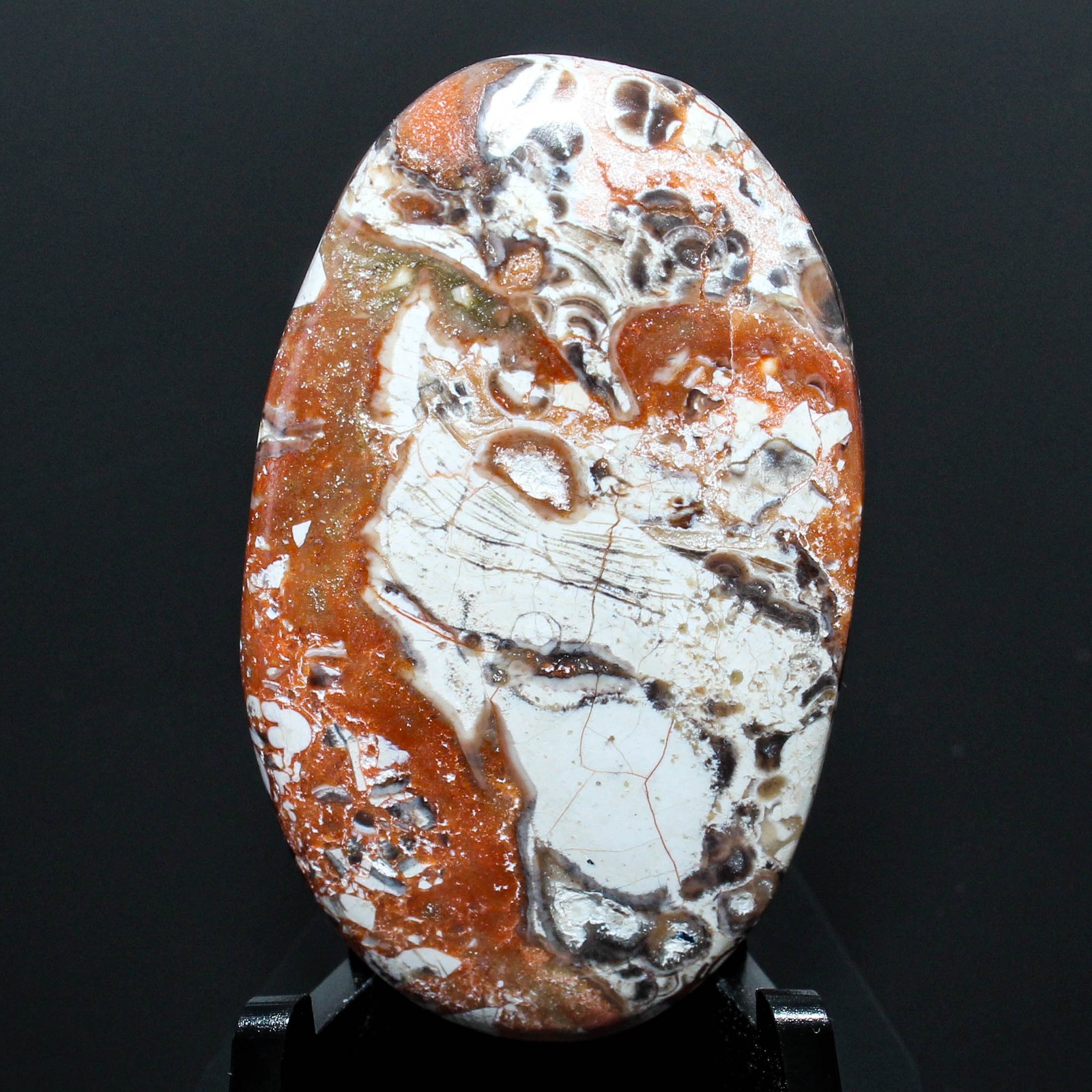 43.10 Ct. Rare Mushroom Jasper Oval Cabochon Loose Gemstone 40x24x5 mm