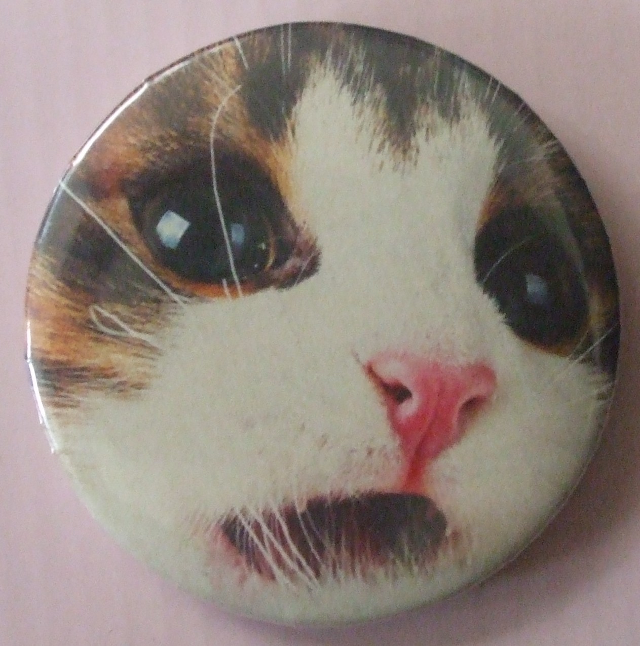 Misc cat Pinback Buttons – 2″ inch