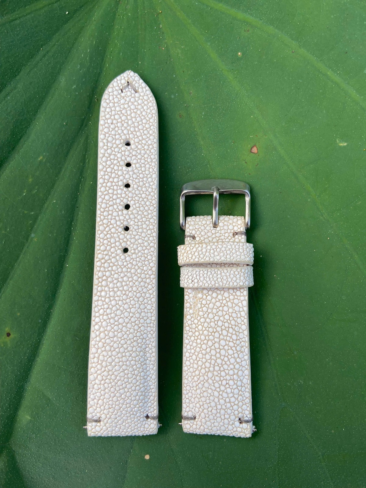 White Stingray Leather Watch Strap Band, Size 18mm 19mm 20mm 21mm 22mm 24mm 26mm
