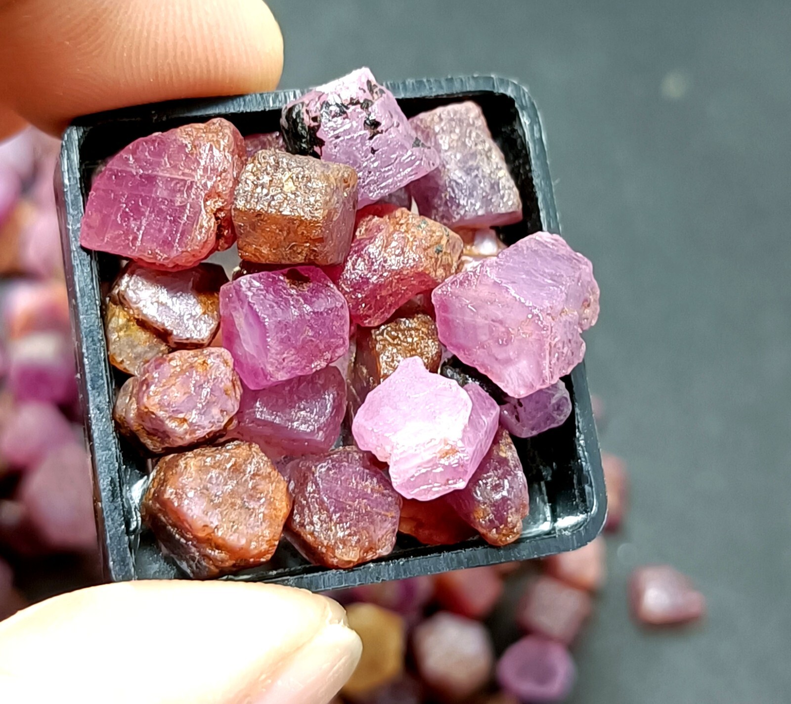 AAA+ Quality 100% Natural African Ruby Sapphire Unheated 50 Ct Loose Rough Lot