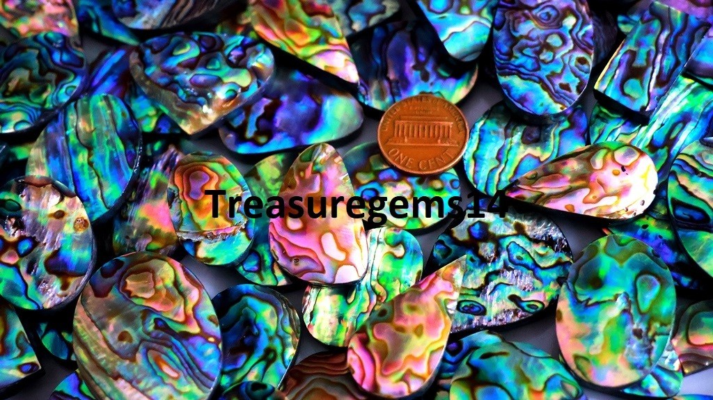 500 CT WHOLESALE LOT NATURAL RAINBOW FIRE ABALONE SHELL CABOCHAN GEMSTONE