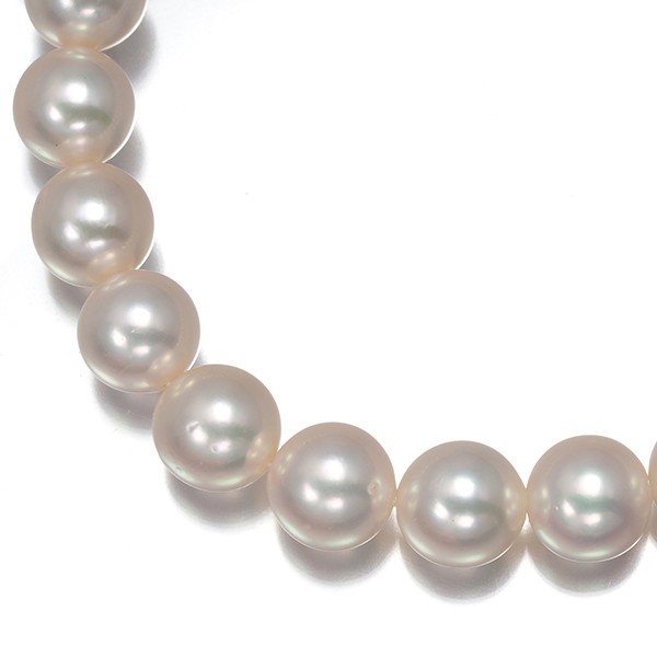 Auth TASAKI Necklace Akoya Pearl 7.0-7.5mm Silver