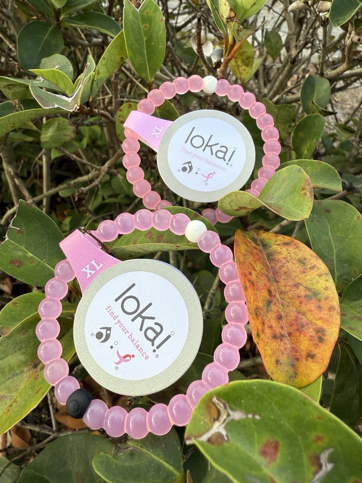 Lokai Bracelets Set Of 2 Size XL 8.5”