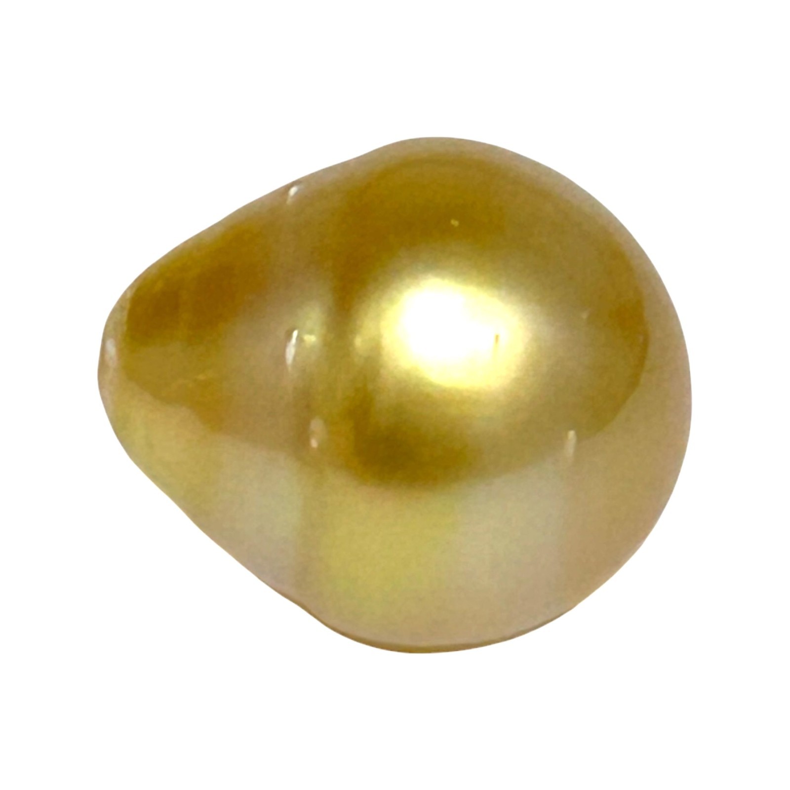 Magnificent Oval 14.6 x 16.8mm 23.2 Carats Lustrous Golden Philippine Sea Pearl