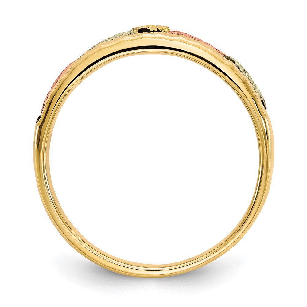 10k Tri-color Gold Black Hills Gold Antiqued Men’s Ring Size 10