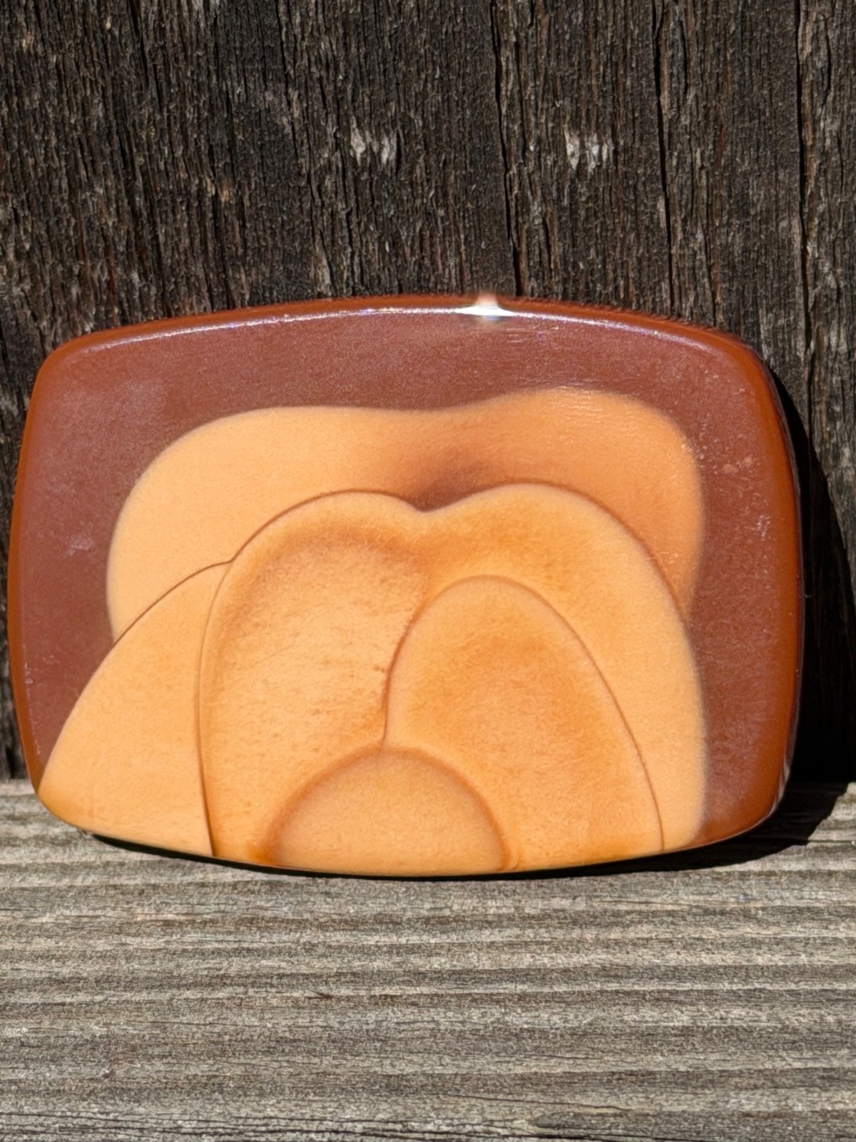 Bruneau Jasper Collector Cabochon