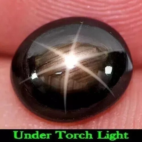 Black Star Sapphire 6 Rays 9.55 Ct Oval Cabochon Natural Loose Gemstone