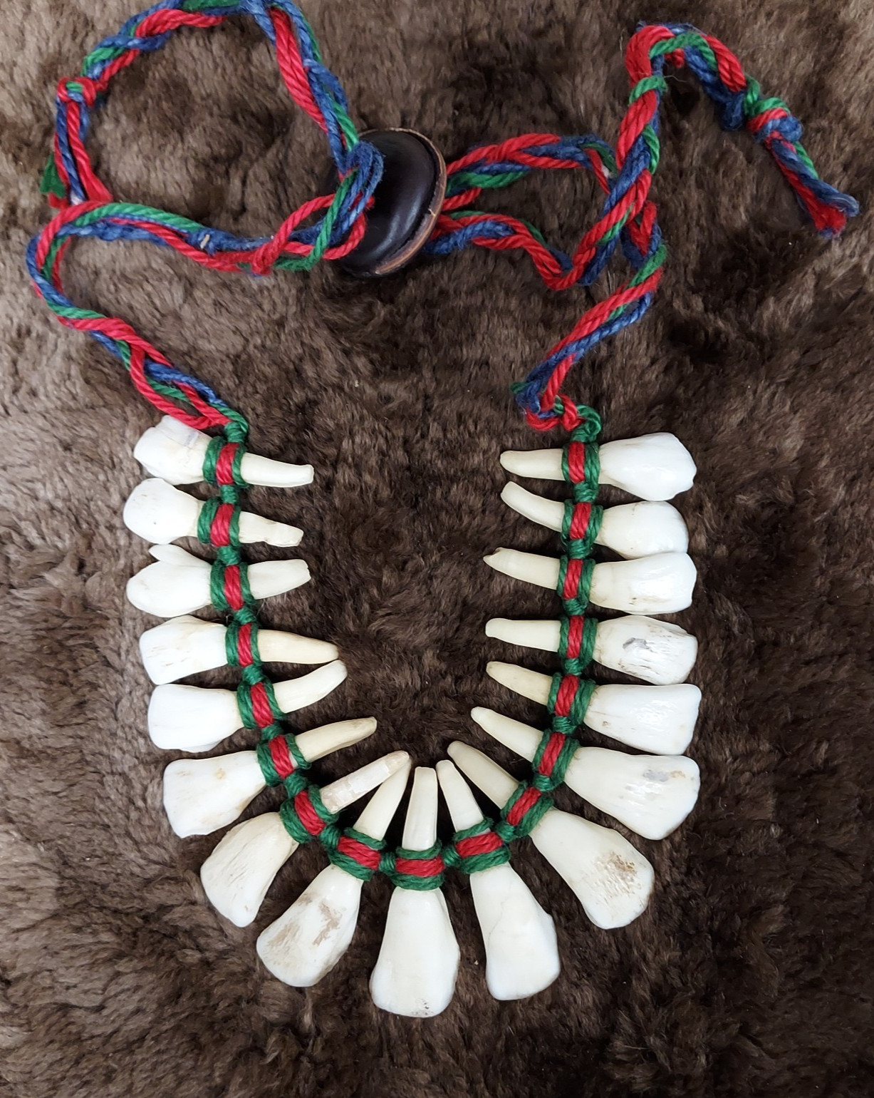 REAL Natural Vintage Tribal Ethnic Necklace Tooth / Unknown Animal TEETH