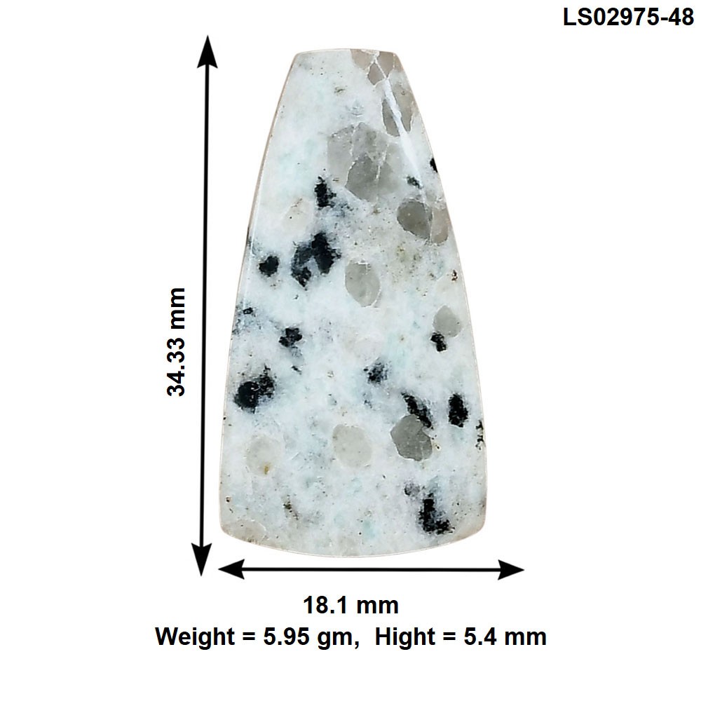 Natural Sesame Jasper 34.33×18.1×5.4 mm Fancy Shape Polished Gemstone LS02975-48