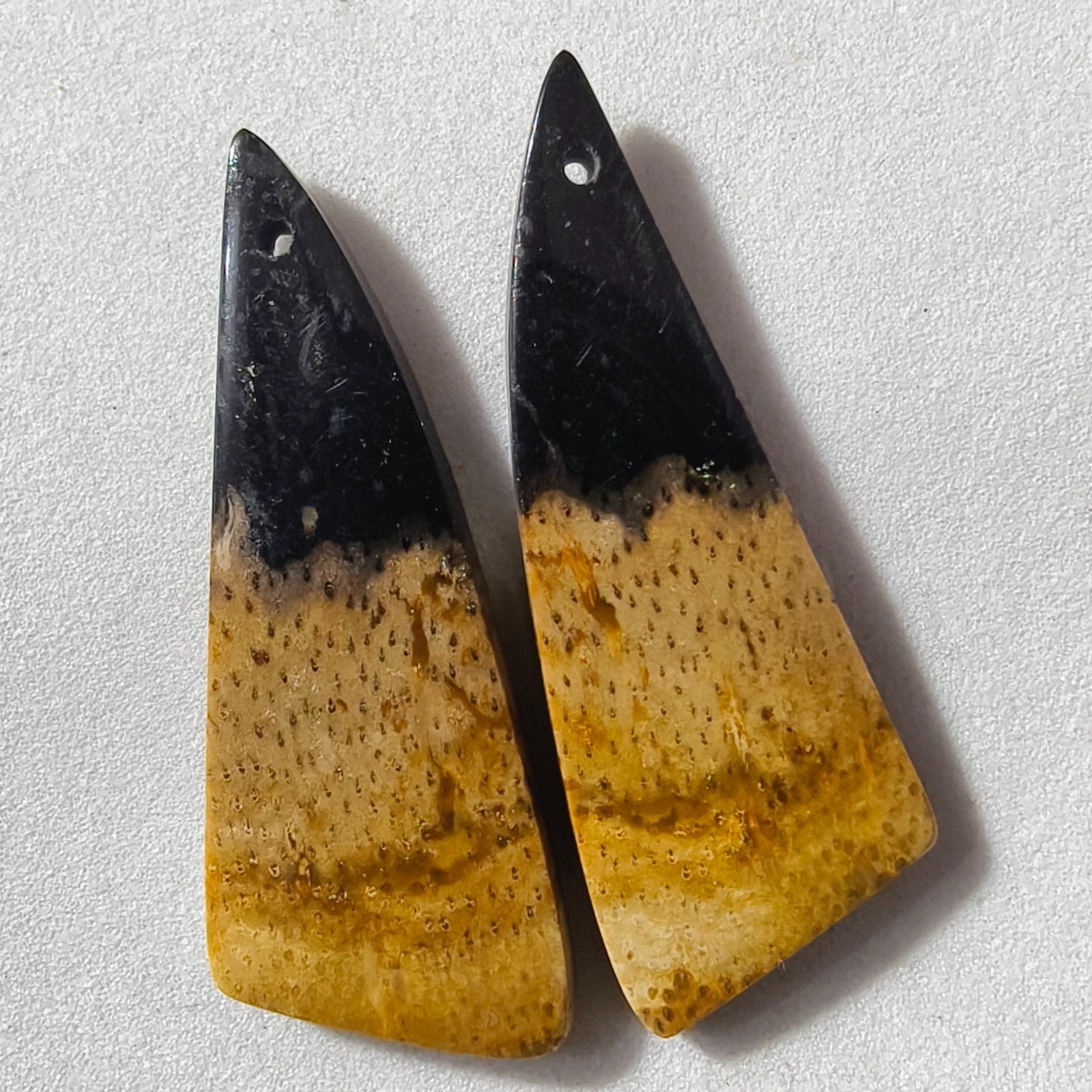 25 Cts Natural Fossilized Palm Root Drilled Pair Cabochon Gemstone 37.3X13.7 MM