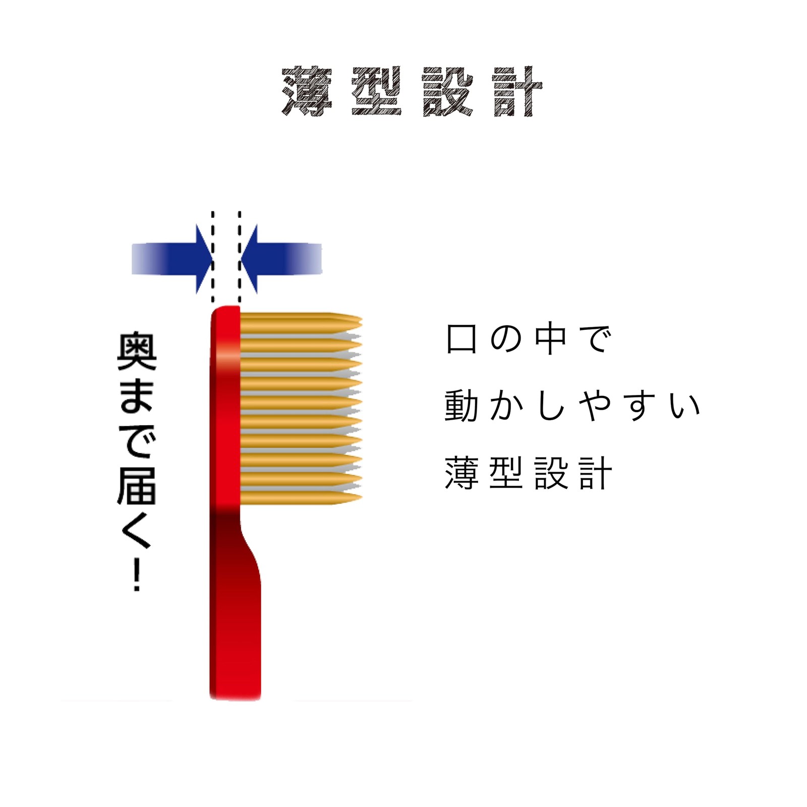 Ebisu The Premium Care Gap Plus (Regular) 2 Pieces Set