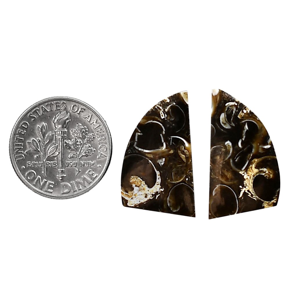 Natural Turtella Jasper Pair 12.5×21.5×4 mm Fancy Polished Gemstone LS70-04142