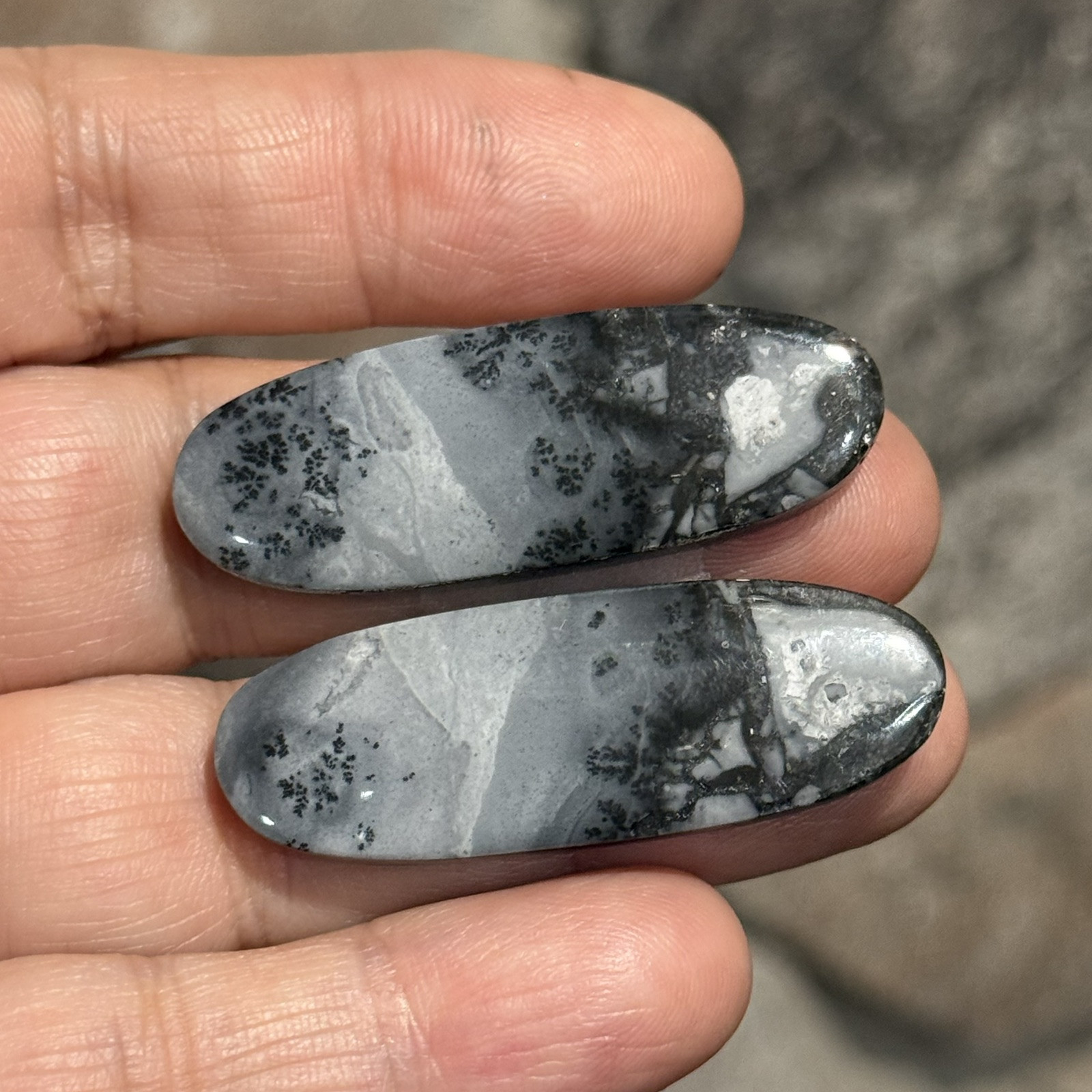 62ct 42x15x4.5mm Pair Fine Gray Scenic Oval Picture Maligano Jasper Cabochons