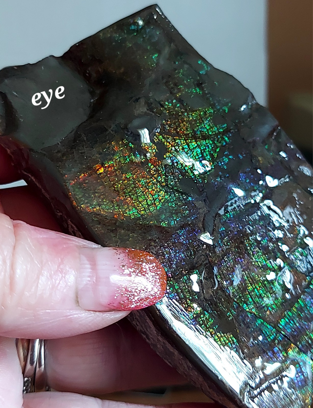 Ammolite Ammonite tabletop Piece Display 104.5x58x23.6mm 5805