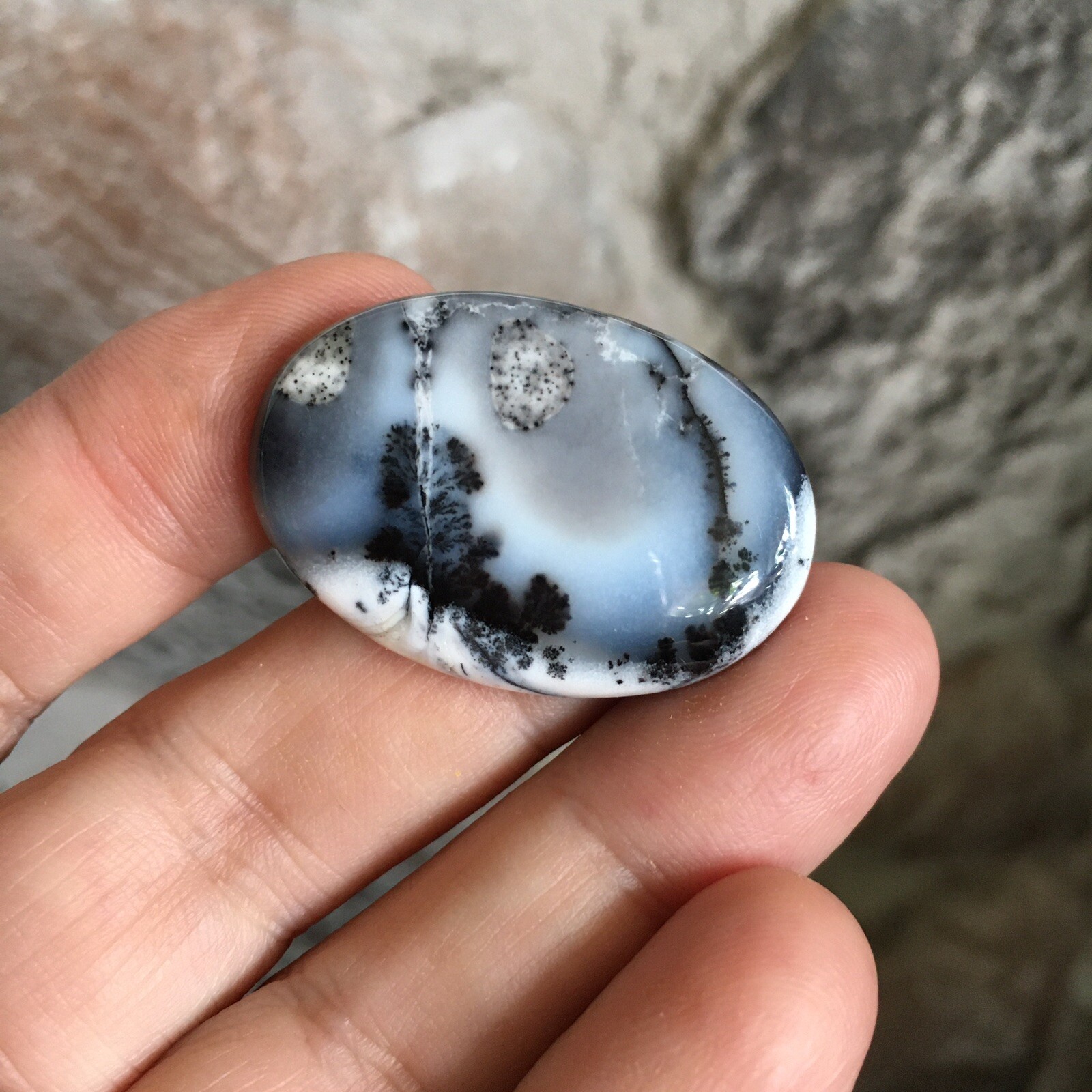35x24x6mm Picture Like Dendrite Opal Oval Cabochon Loose Gemstone