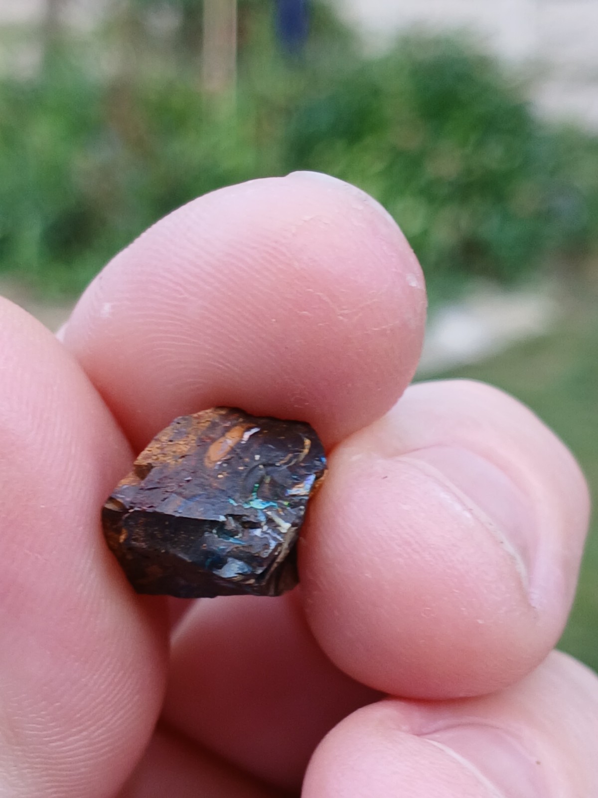 Australia Boulder Opal Koroit R313 Specimen 11 Carat Blue Green