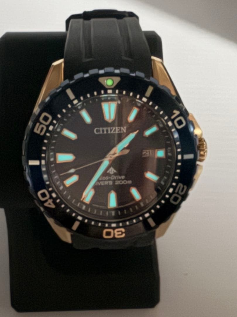 Citizen Promaster Diver Eco-Drive E168-003FR08 BN0196-01L Watch 200m