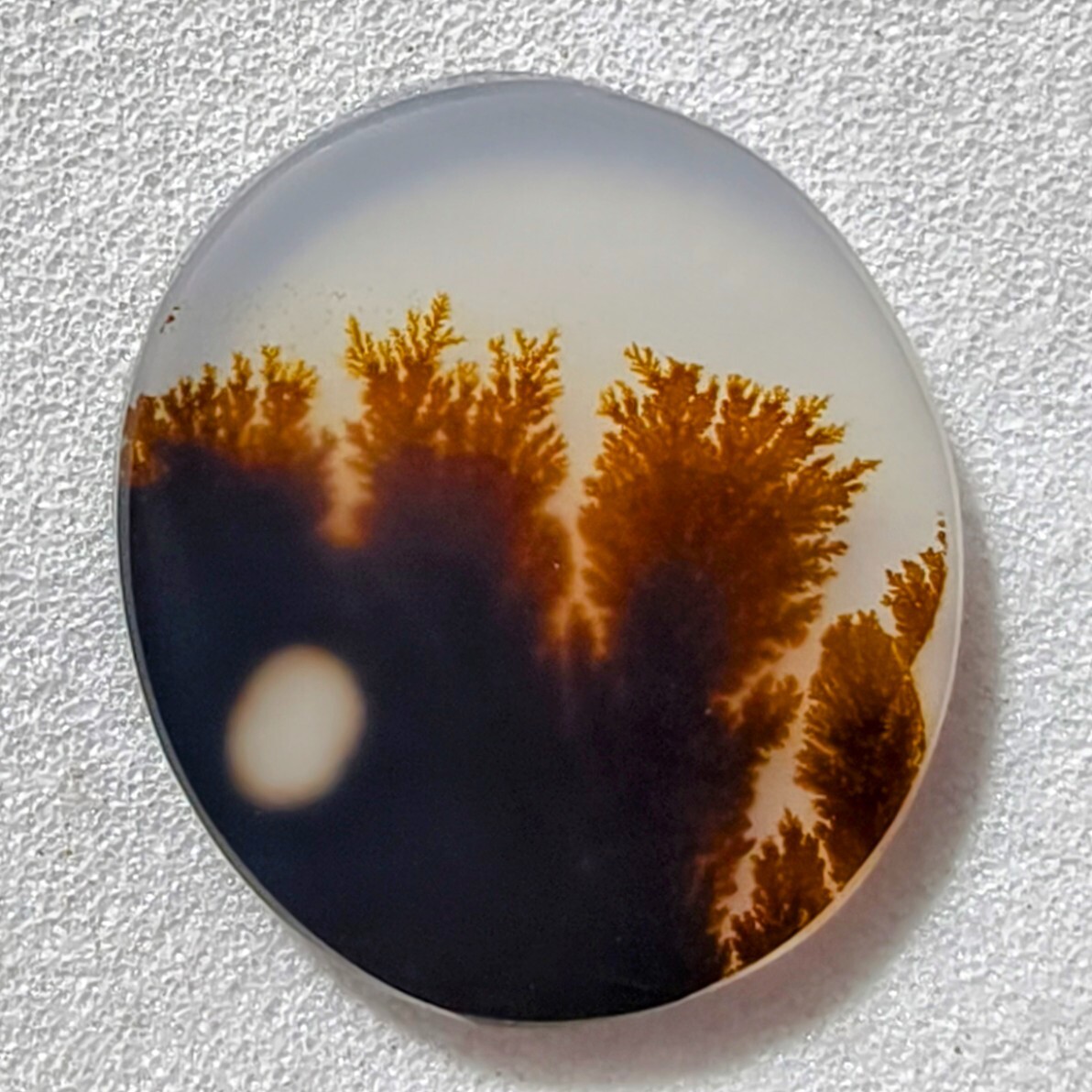 2.50 Cts Natural Shazar Dendritic Agate Cabochon Gemstone 14.4×12.7×1.5 MM 411