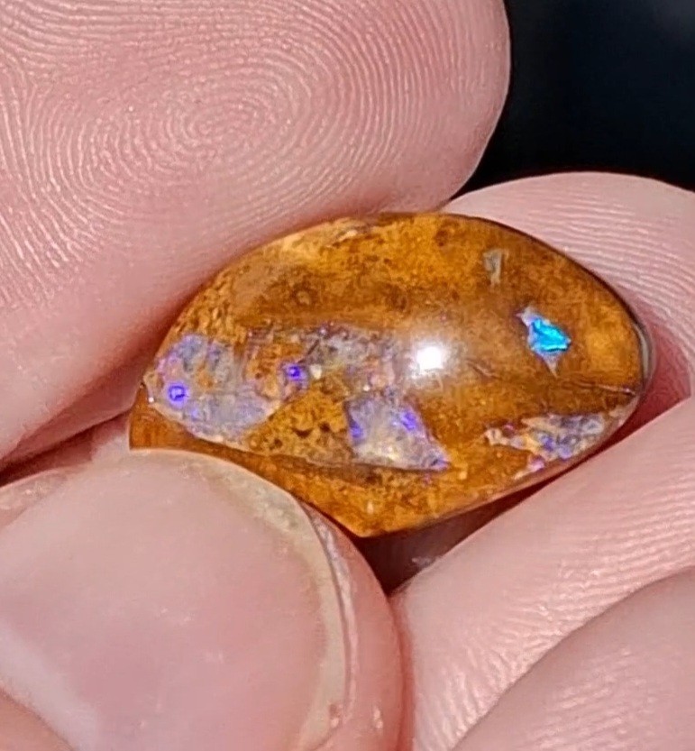 12.5ct Wood replacement Qld boulder opal. Vibrant iridescent blue & purple flash