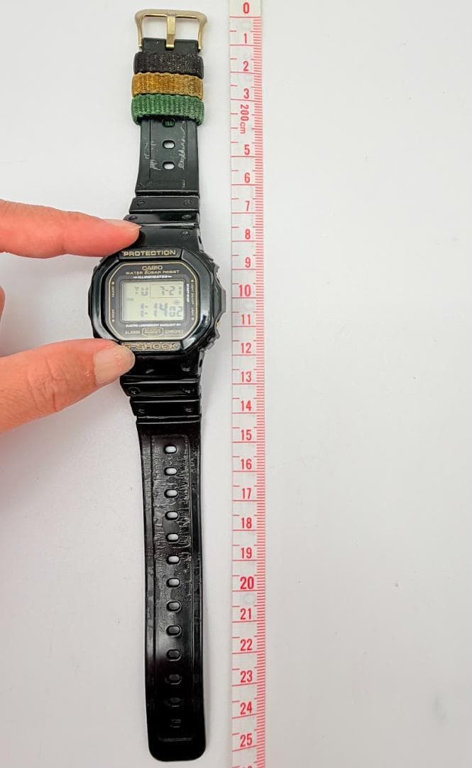 CASIO G-SHOCK DW-5600R-3JF Digital Watch From Japan